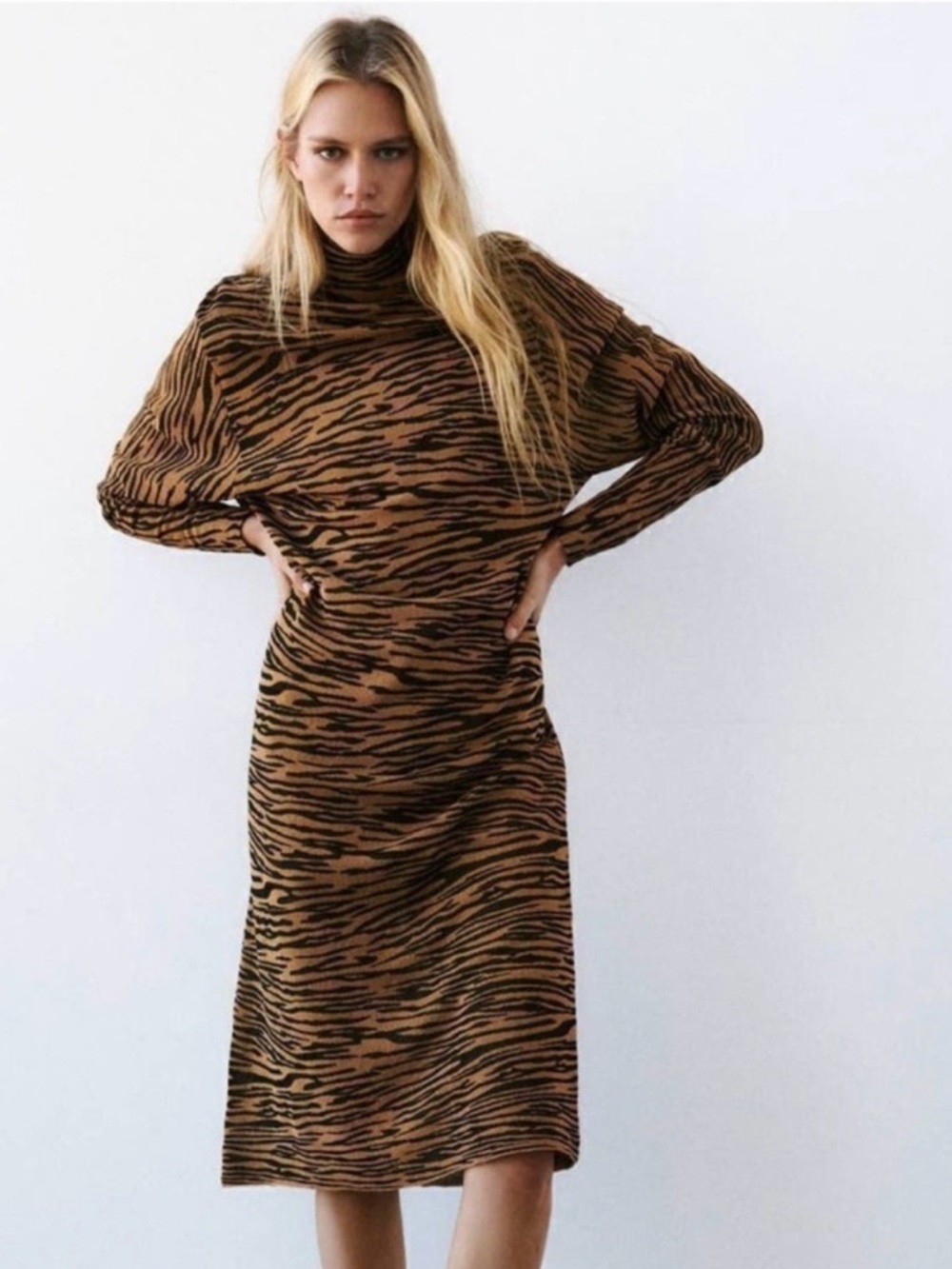 Zara Brown & Black Tiger-Print Midi Dress